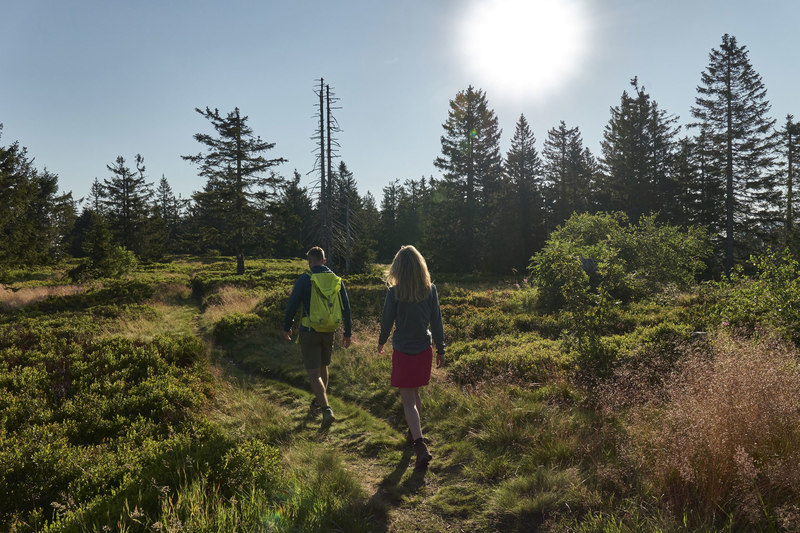 Unterwegs am Achttausenderweg auf dem Goldsteig
