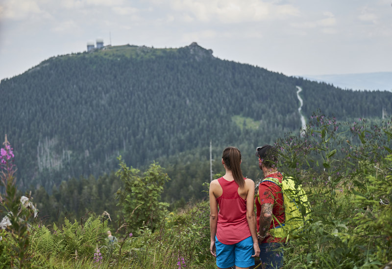 Das Ziel, den großen Arber, im Blick.