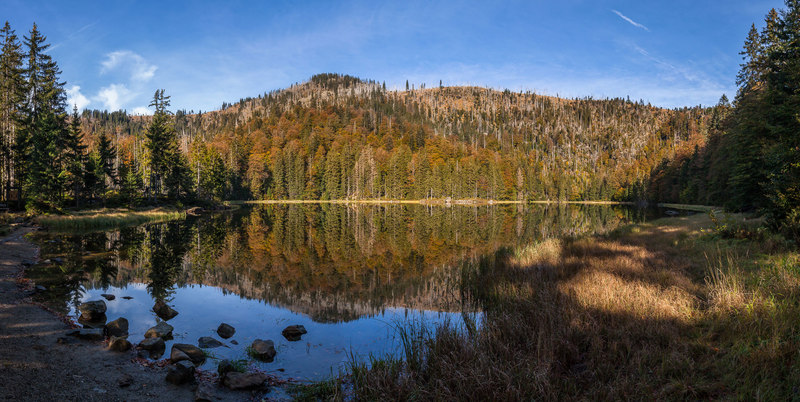 Blick über den eiszeitlichen Rachelsee im Nationalpark Bayerischer Wald