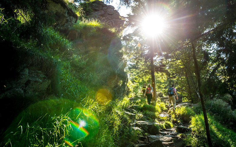 Der Sonne entgegen: der Aufstieg zum Kaitersberg auf Etappe N12