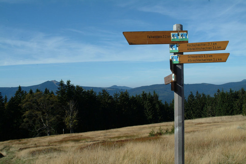 Die Ruckowitzschachten bei Zwieslerwaldhaus im Nationalpark Bayerischer Wald