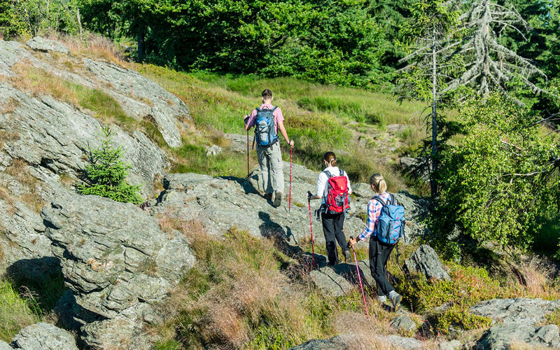 Die angenehm variierende Wegebeschaffenheit macht den besonderen Reiz des Goldsteig-Wanderweges aus
