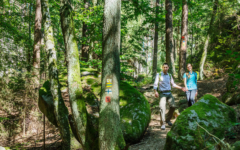Die anspruchsvollere Nordroute hält spannende Mittelgebirgslandschaften für Goldsteig-Wanderer bereit