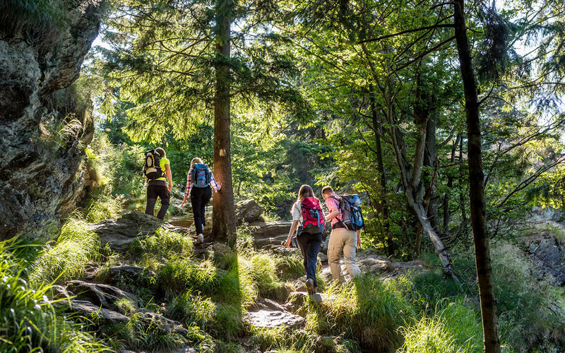 Die Anstiege auf dem Goldsteig werden auf den Gipfeln mit herrlichen Aussichten belohnt