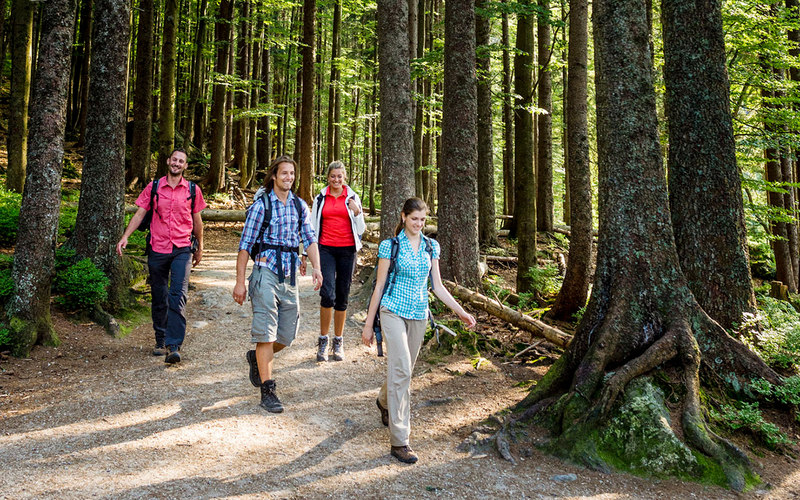 Die bewaldeten Abschnitte des Goldsteig sind an heißen Sommertagen besonders angenehm