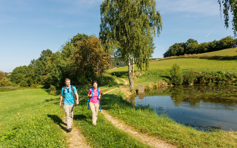 Goldsteig-Etappe S13: Kurz vor Wiesenfelden