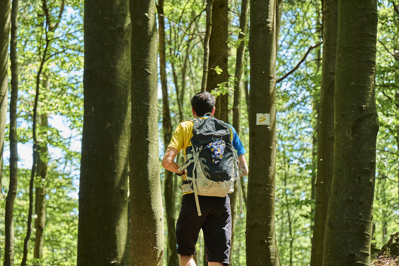 Der Qualitätswanderweg Goldsteig ist durchgehend sehr gut markiert