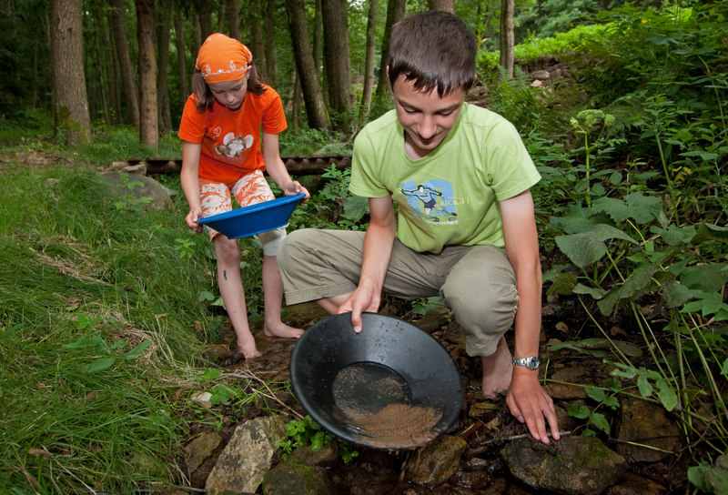 Im Rausch des Goldes