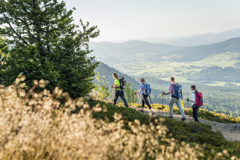 Goldener Herbst am Goldsteig 