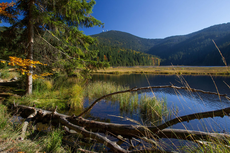 Die schönsten Herbstfarben umrahmen den Kleinen Arbersee im Bayerischen Wald