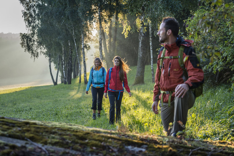 Eine ganz besondere Stimmung herrscht am Goldsteig in den Morgenstunden. 