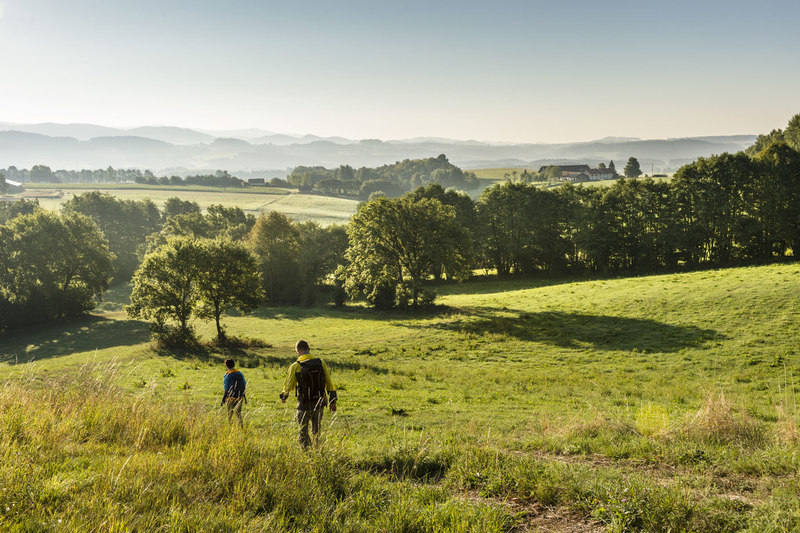 Weitläufige, stille Landschaften abseits überfüllter Touristenpfade belohnen Goldsteig-Wanderer mit wohltuender Ruhe. 