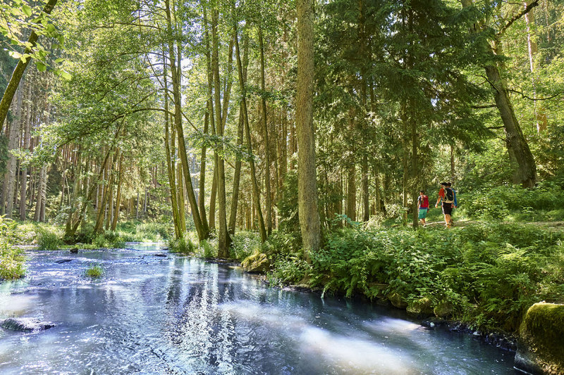 Wanderer auf dem Goldsteig im Waldnaabtal im Oberpfälzer Wald. 