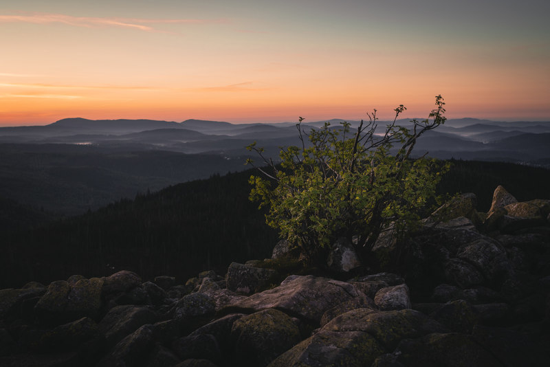 Einzigartige Sonnenaufgangsstimmung am Lusen, der auf zwei Goldsteig-Etappen liegt.