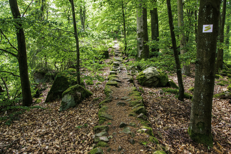 Die Goldsteig-Etappe N8 liegt zwischen Oberviechtach und Rötz.