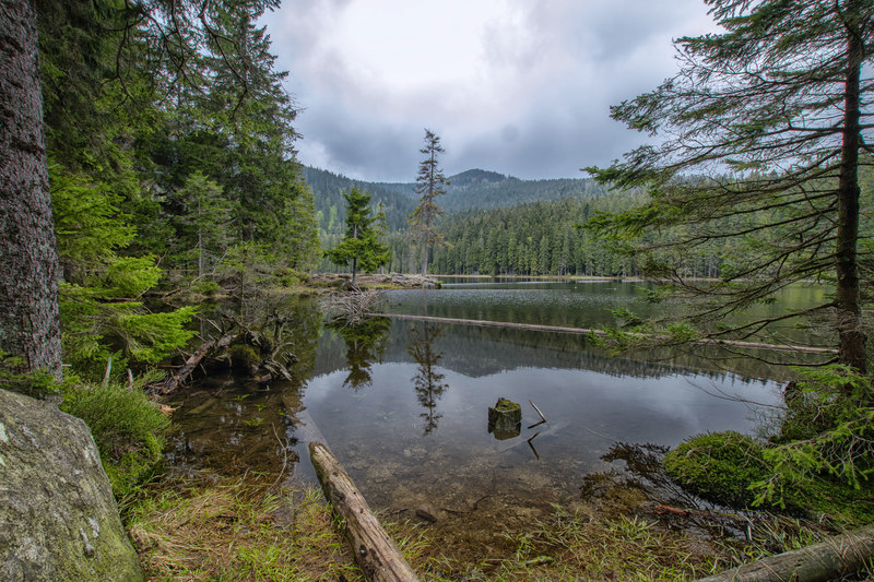 Die Goldsteig-Etappe N14 führt am Großen Arbersee, einem Relikt aus der Eiszeit, vorbei.
