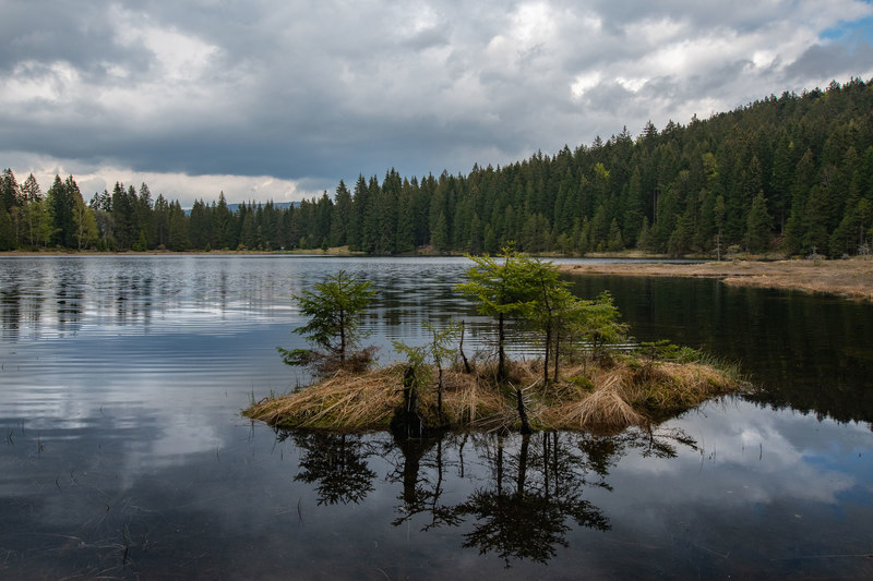 Am nördlichen Arberhang liegt der Kleine Arbersee mit seinen schwimmenden Inseln.