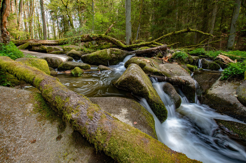 Das Naturschutzgebiet Lerautal mit den bizarren Felsformationen ist einer der schönsten Abschnitte auf der Goldsteig-Etappe 5.