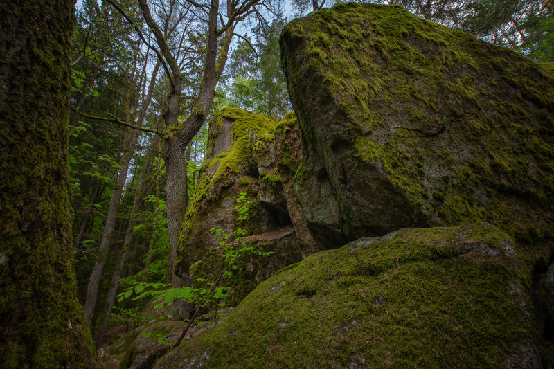 Die Goldsteig-Etappe 5 führt an geologischen Besonderheiten im Lerautal vorbei.