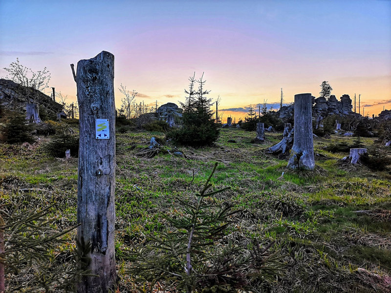 Der Dreisessel liegt auf der Goldsteig-Etappe N21 