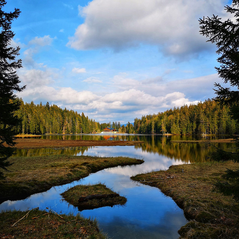 Blick über den eiszeitlichen Großen Arbersee