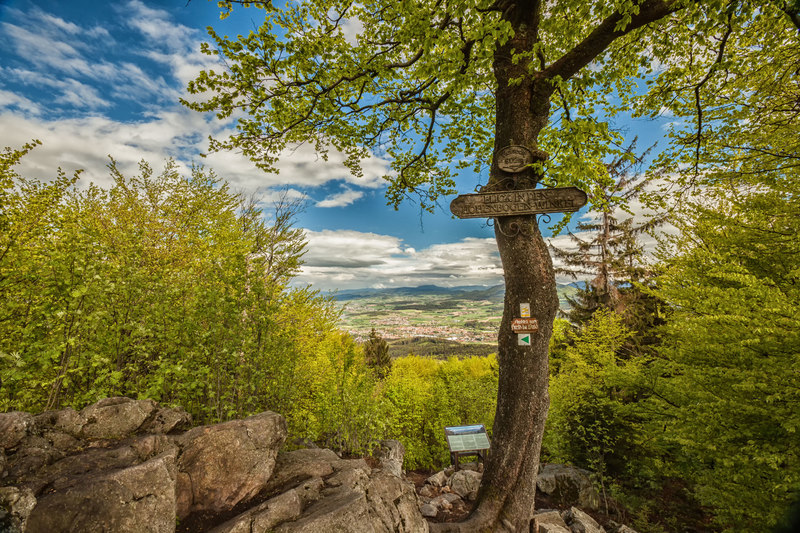 Die Goldsteig-Etappe N10 bietet einen herrlichen Blick auf den Hohenbogen Winkel.