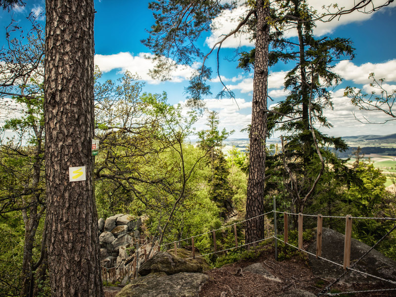 Der Goldsteig führt durch das Naturdenkmal Steinerne Wand. 
