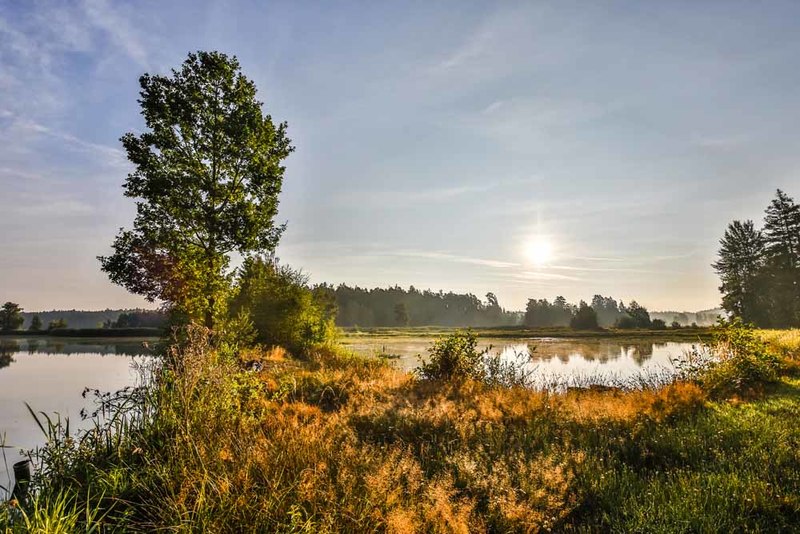 Etappe 2 des Goldsteigs führt den Wanderer durch das einzigartige Land der 1000 Teiche in der Oberpfalz