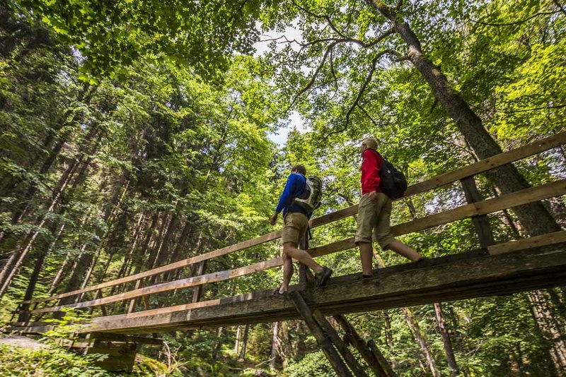 Etappe 3 durchquert das wild-romantische Waldnaabtal