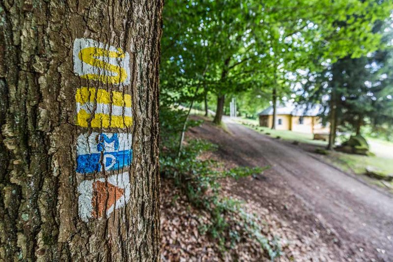 Durchgängige und einheitliche Markierungen erleichtern dem Goldsteig-Wanderer die Orientierung