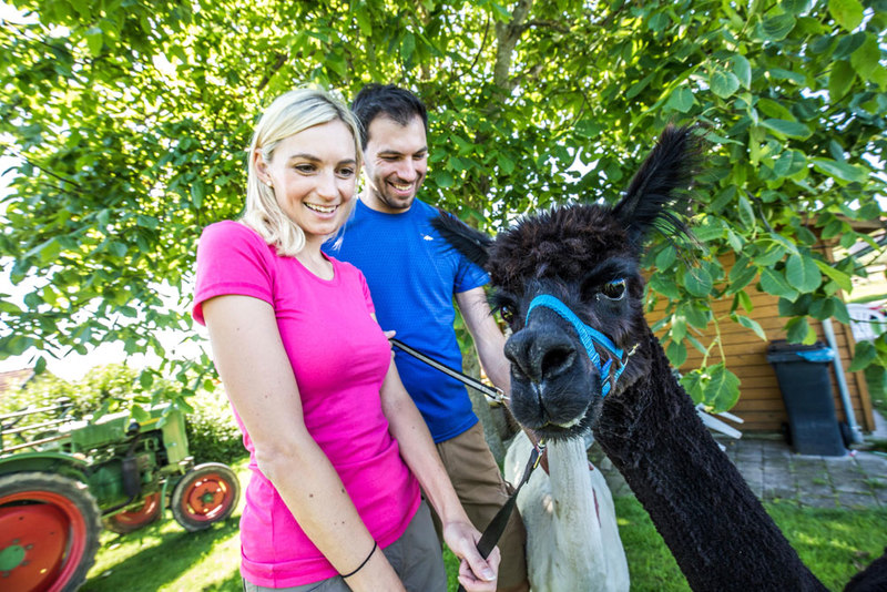 Tierisch unterwegs am Goldsteig