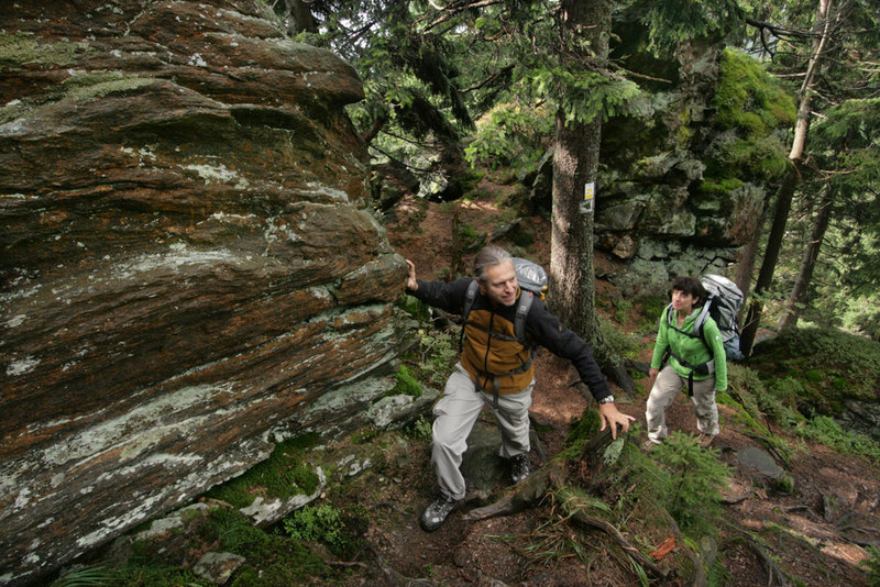  Wanderer unterwegs auf der Goldsteig-Etappe N 12 im Gebiet des Kaitersberg östlich von Bad Kötzting.