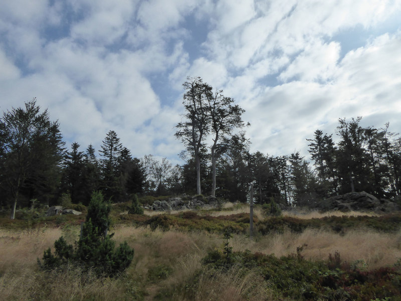 Landschaft rund um den Hochberg
