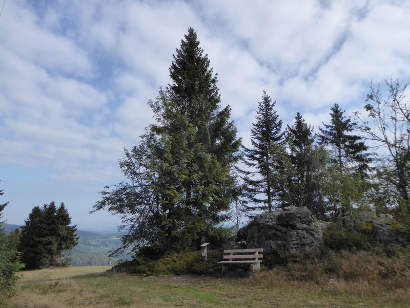 Rastbank an der Bergstation Predigtstuhl