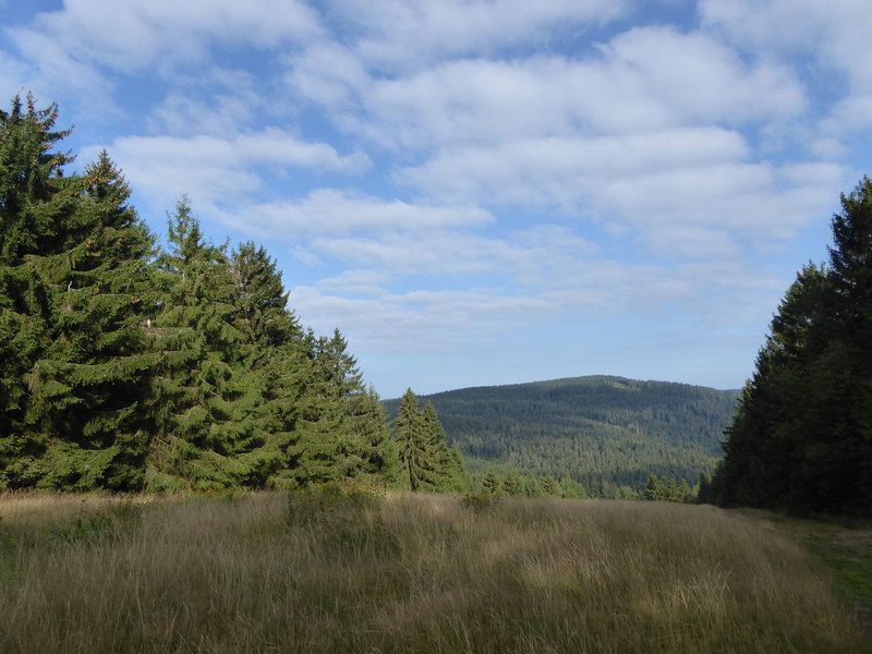 Blick auf den Pröller bei Sankt Englmar