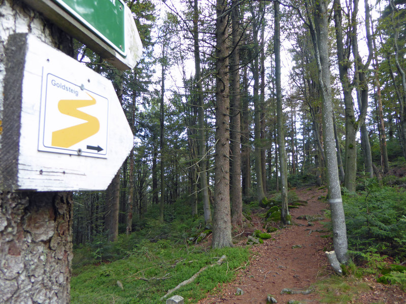 Rundwanderung: Gipfeltour mit wunderbaren Ausblicken um Sankt Englmar