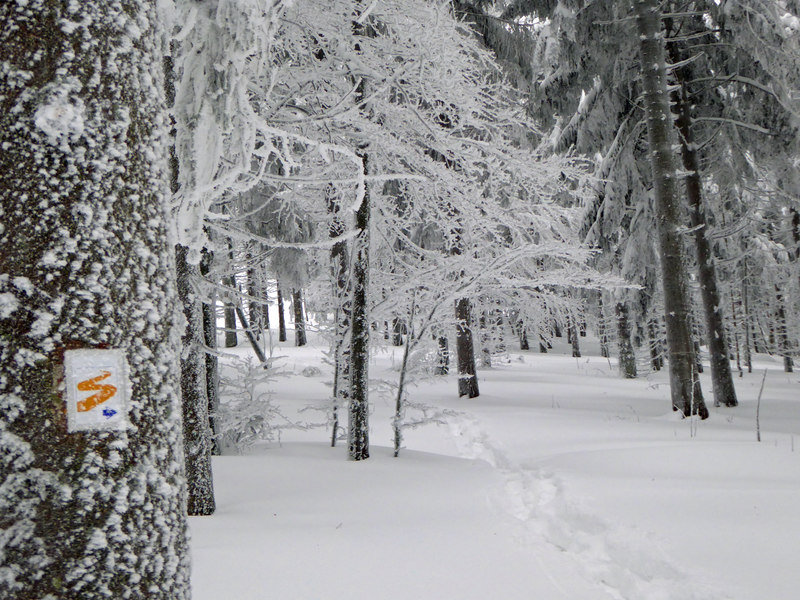 Winterwanderung am Knogelsteig 