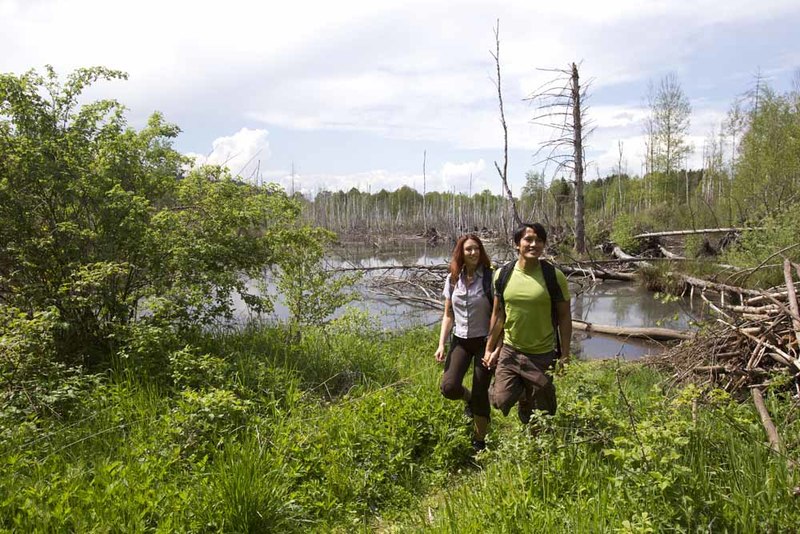 Seit 1987 ist das Moor südlich von Kulz im Oberpfälzer Wald als Naturschutzgebiet geschützt. Auf einer Fläche von rund 80 Hektar beherbergt das Prackendorfer und Kulzer Moos zahlreiche seltene Tiere und Pflanzen.