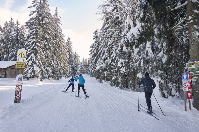 Langlaufen und die wunderschöne Natur genießen