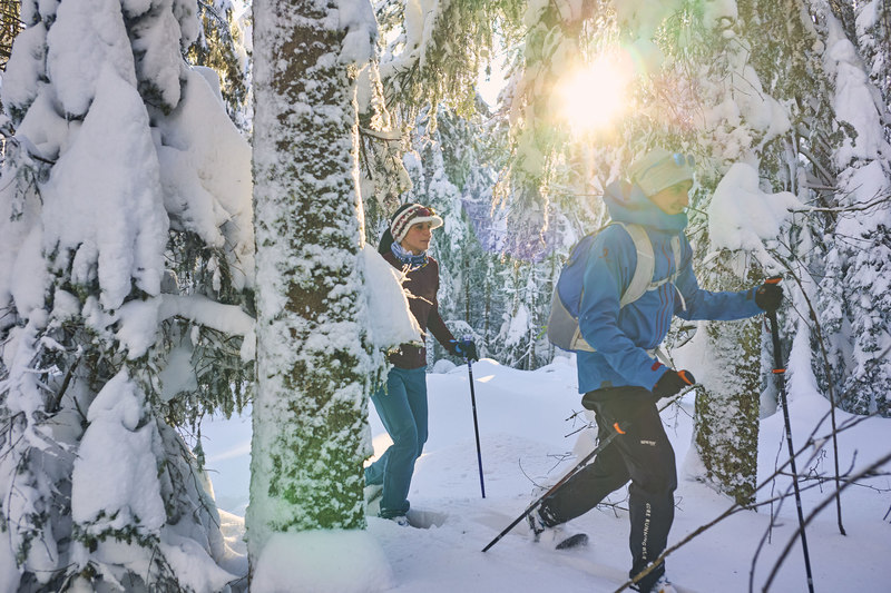 Schneeschuhwandern am Goldsteig 