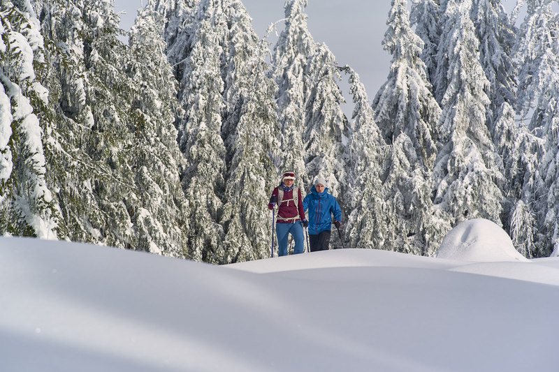 Mit den Schneeschuhen am Goldsteig unterwegs