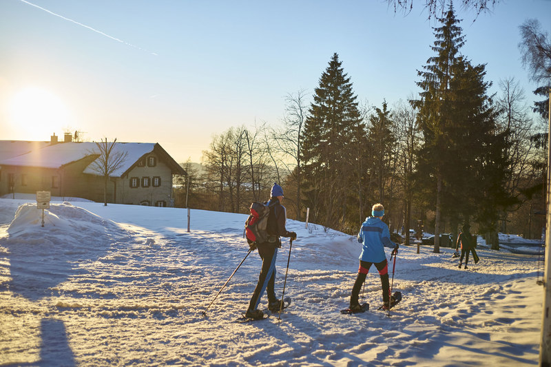 Schneeschuhwandern am Goldsteig