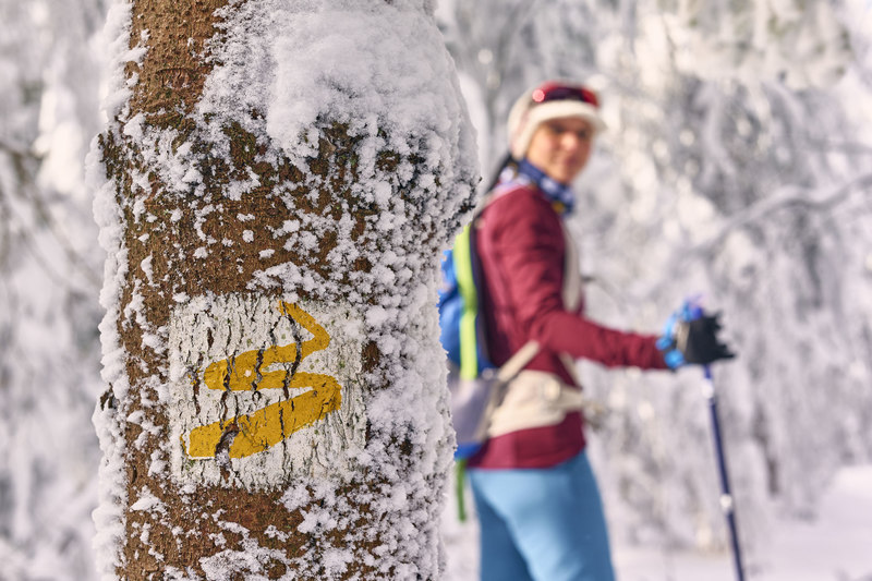 Schneeschuhwandern am Goldsteig 