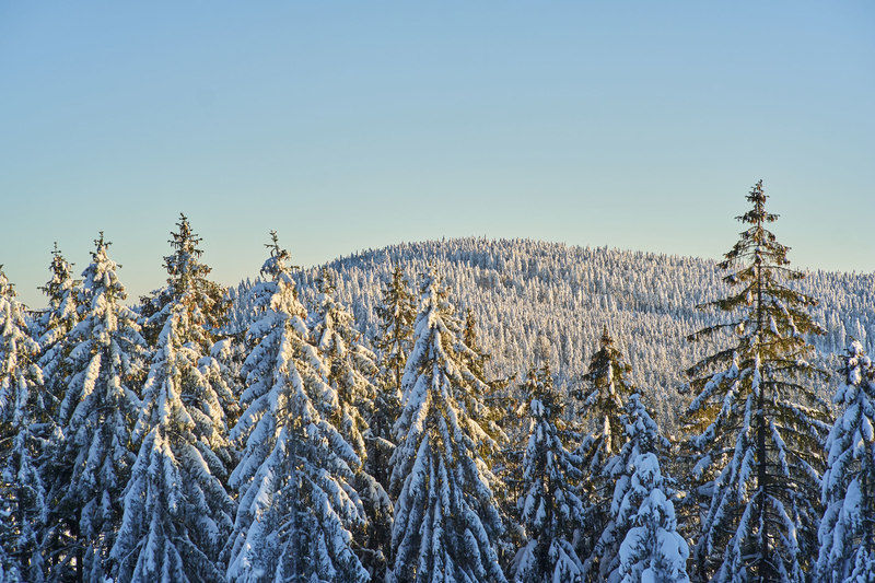 Straße zur Racheldiensthütte gesperrt
