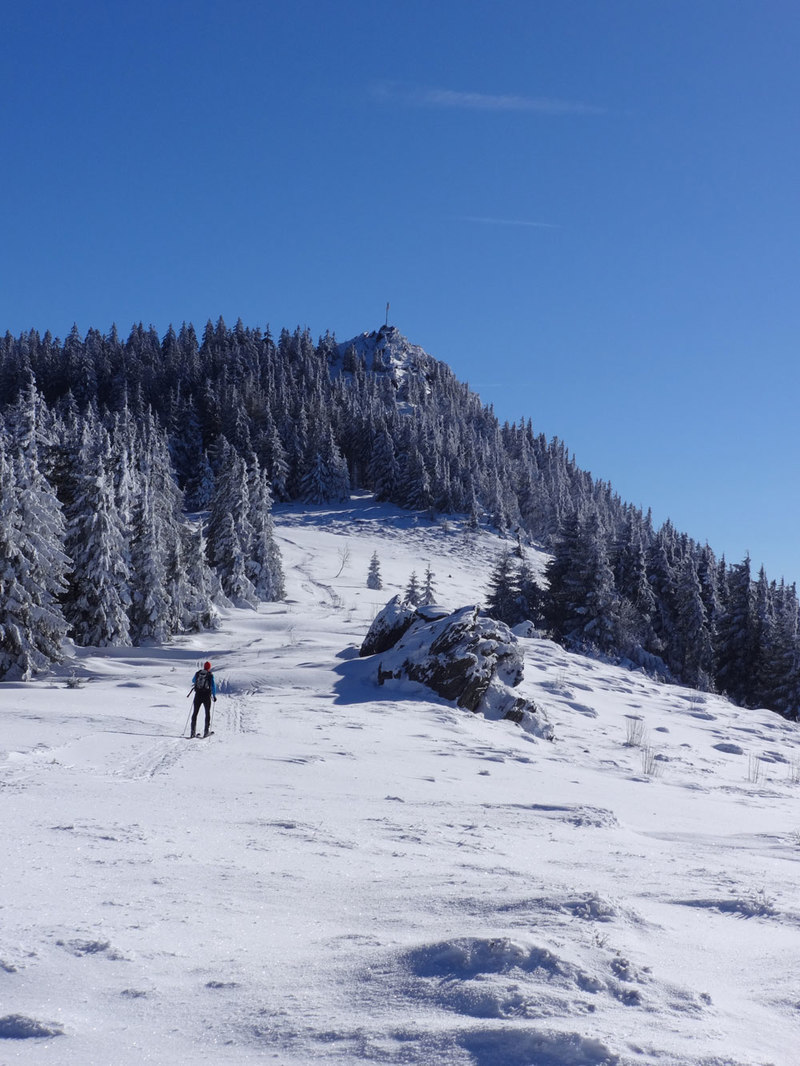 Pures Langlaufvergnügen finden Sie im Oberpfälzer Wald und im Bayerischen Wald