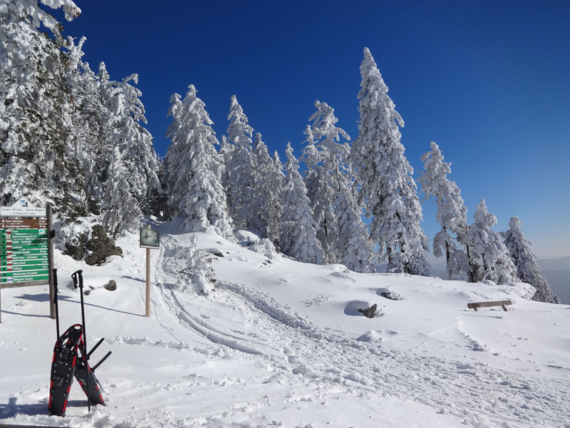 Mit Schneeschuhen auf dem Goldsteig unterwegs - ein wunderbares Erlebnis!