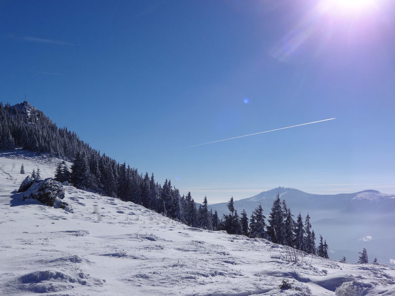 Einzigartige Momente können Sie bei einer Winterwanderung am Goldsteig erleben