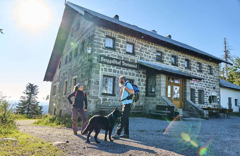 Am Goldsteig lässt es sich auch mit Hund herrlich Wandern