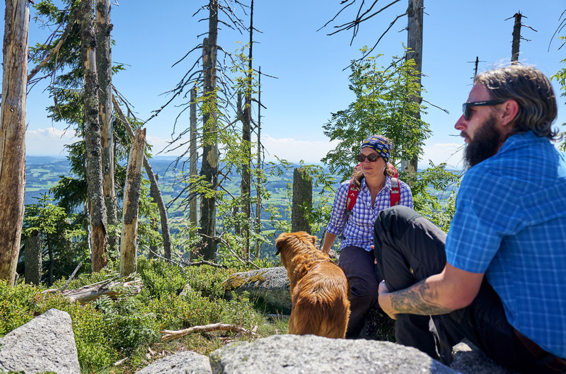 Auch Wanderer mit Hund finden am Goldsteig schöne Touren 
