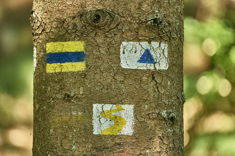 Der Goldsteig gehört zu den Top Trails of Germany und ist damit einer der 15 besten und schönsten Wanderwege Deutschlands 